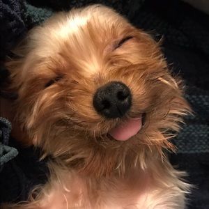 Meet your Posher, Karen